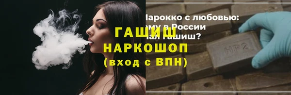 гашик Елизово
