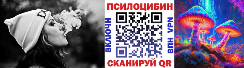 Галлюциногенные грибы Psilocybe  наркота  Нея 